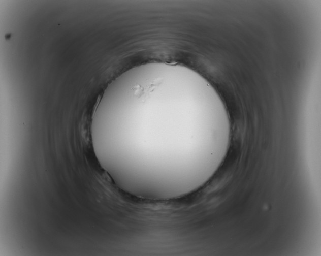 X0000086341202200704202054
