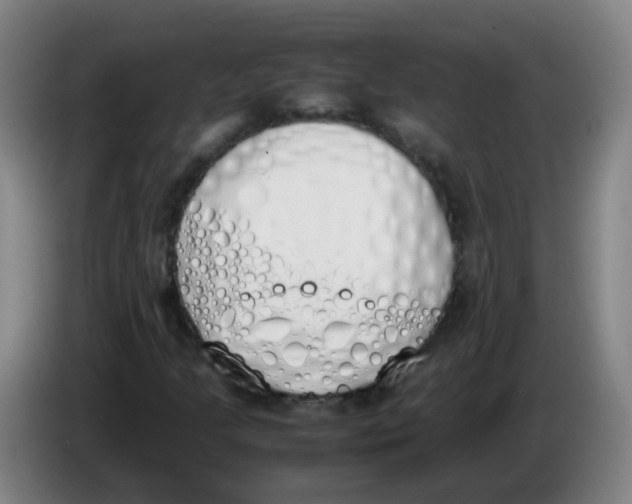 X0000086341205200704202054