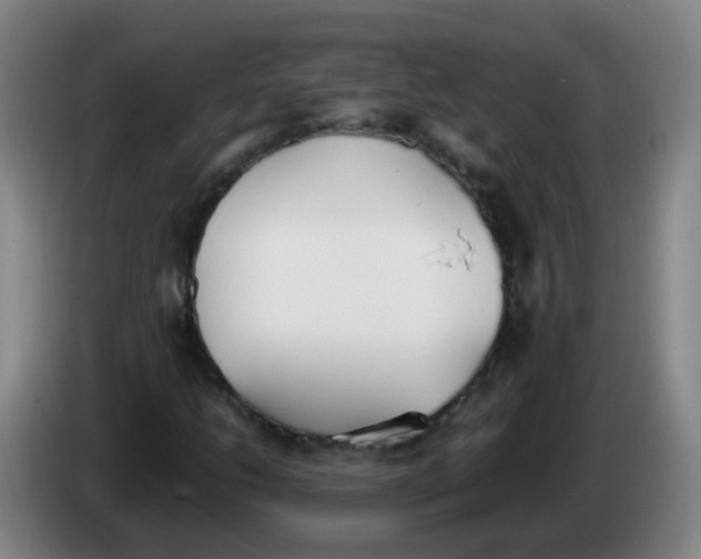 X0000086341206200704202054