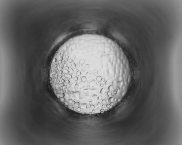 X0000086341208200704202054
