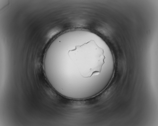 X0000086341210200704202054