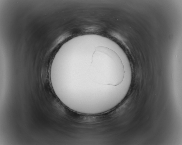 X0000086341211200704202054