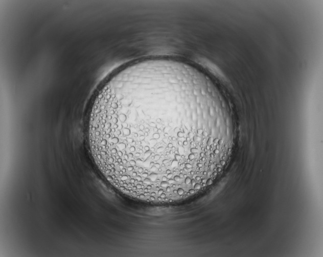 X0000086341212200704202054