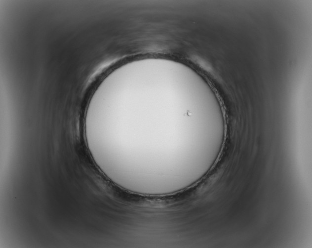 X0000086341214200704202054