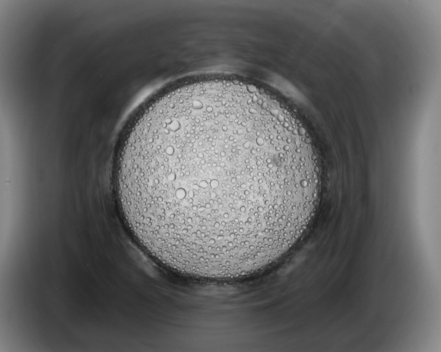 X0000086341216200704202054