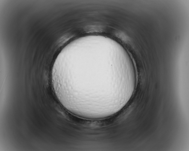 X0000086341217200704202054