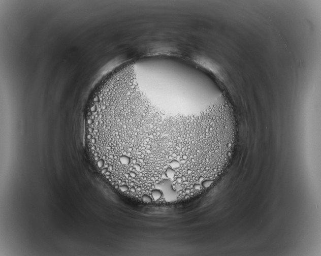 X0000086341219200704202054