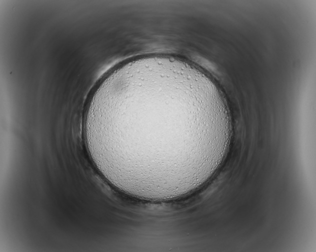 X0000086341220200704202054