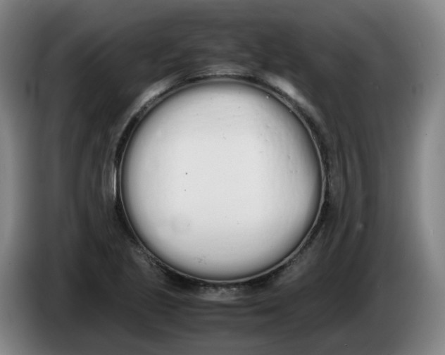 X0000086341221200704202054