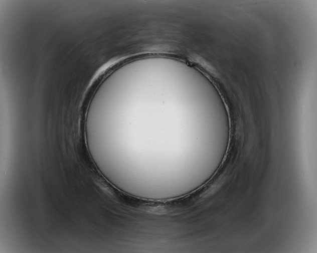 X0000086341222200704202054