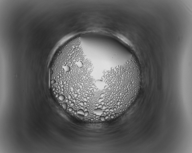 X0000086341223200704202054