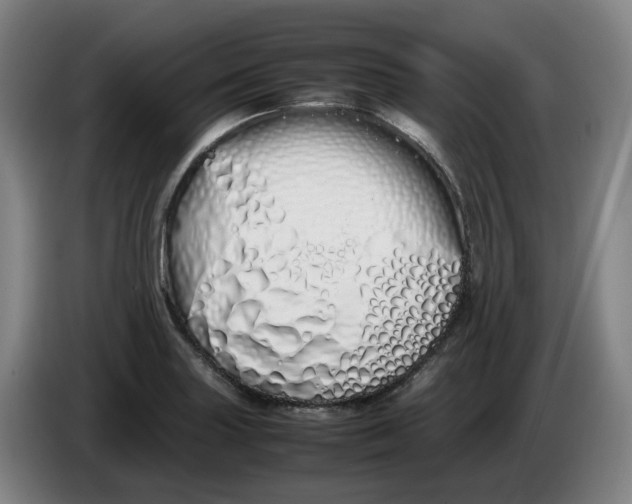 X0000086341227200704202055