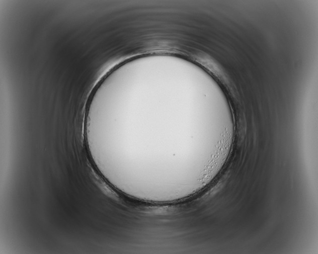 X0000086341228200704202055