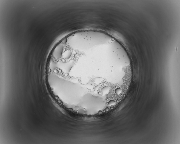 X0000086341231200704202055