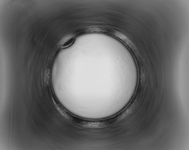 X0000086341233200704202055