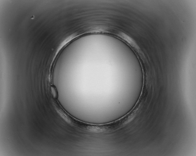 X0000086341234200704202055