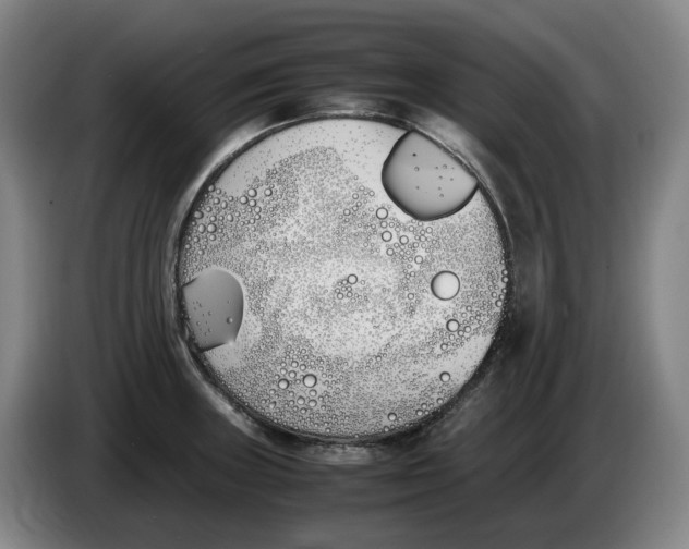 X0000086341235200704202055