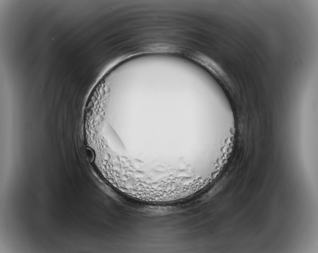 X0000086341236200704202055