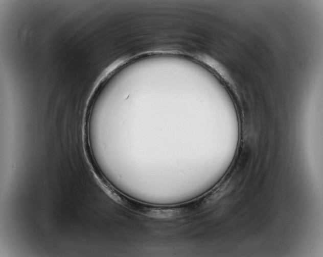 X0000086341237200704202055