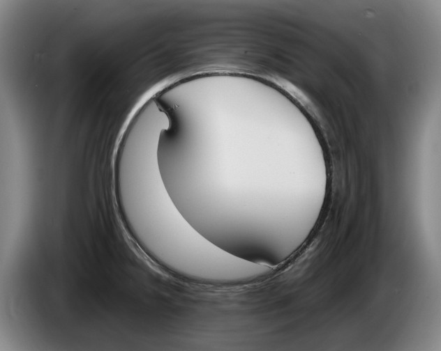 X0000086341238200704202055