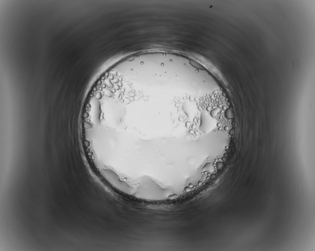 X0000086341239200704202055