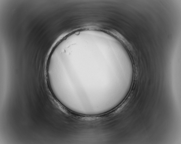 X0000086341240200704202055