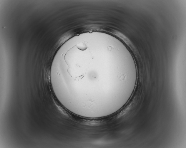 X0000086341241200704202055
