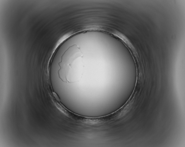 X0000086341242200704202055