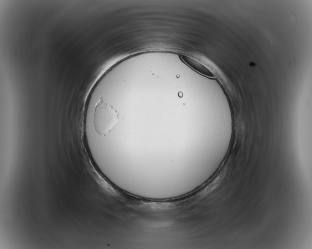 X0000086341244200704202055