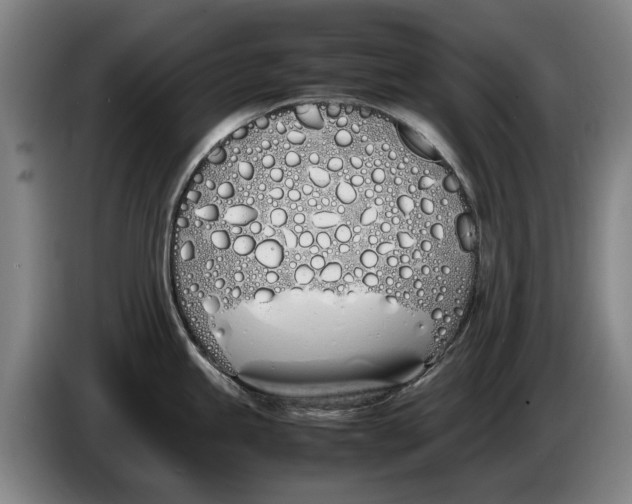 X0000086341245200704202055