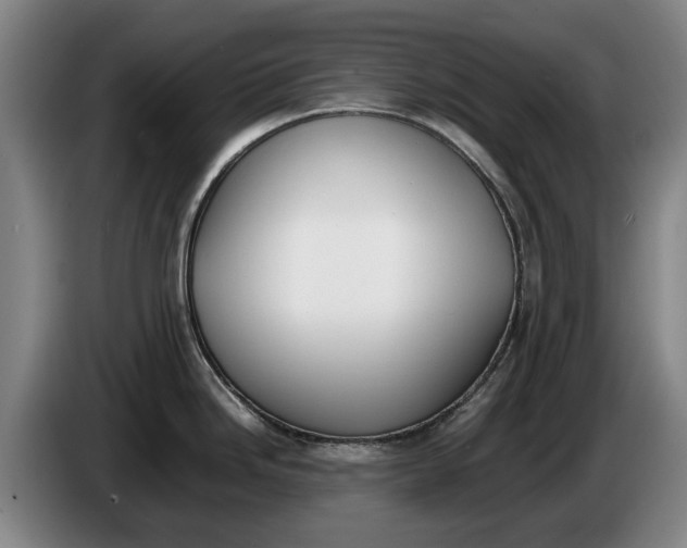 X0000086341246200704202055