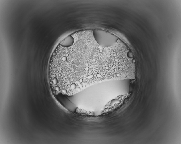 X0000086341247200704202055