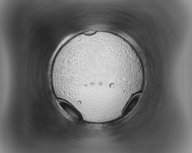 X0000086341248200704202055