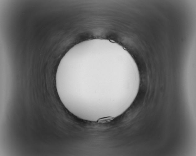 X0000086341249200704202054