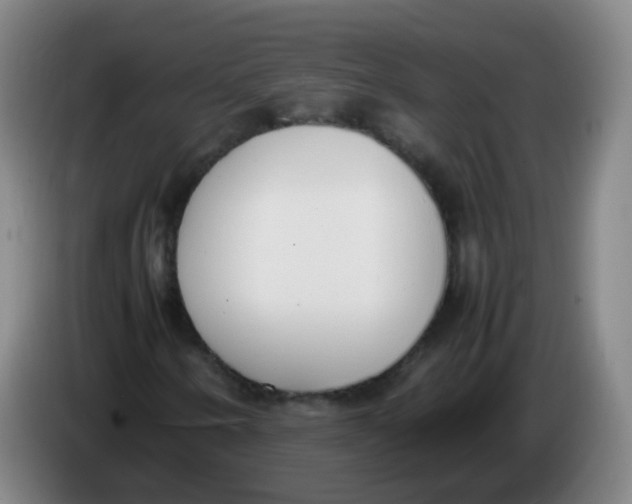 X0000086341250200704202054
