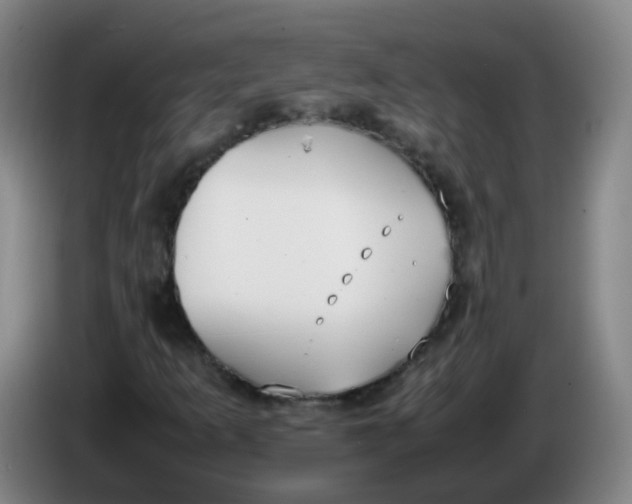 X0000086341253200704202054