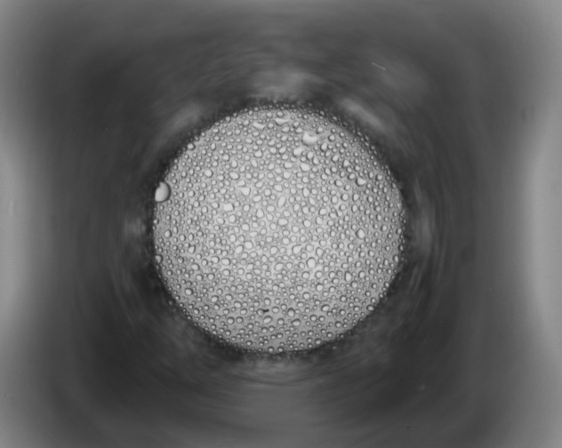 X0000086341254200704202054