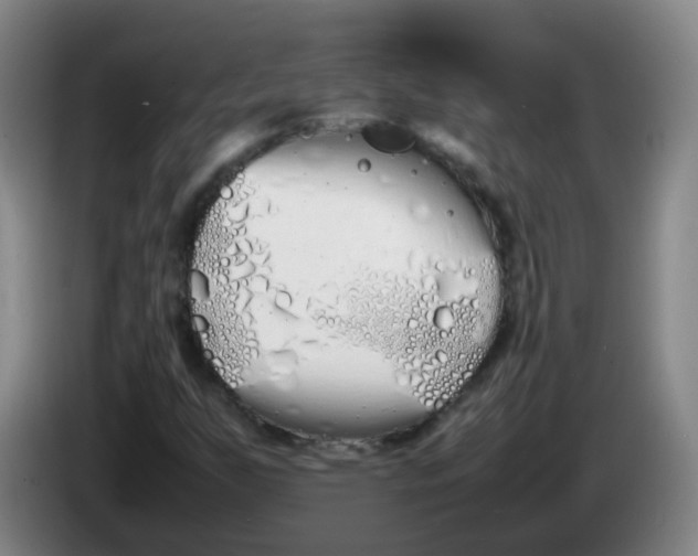 X0000086341255200704202054
