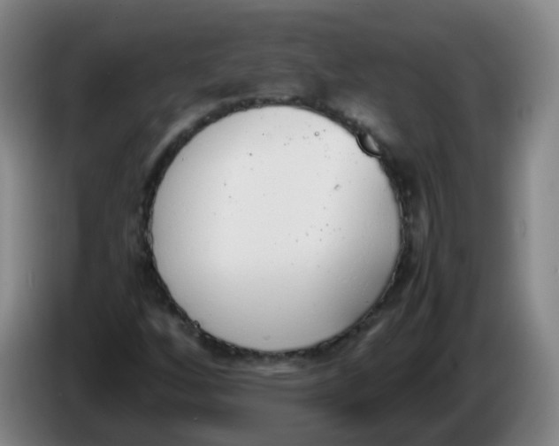 X0000086341256200704202054