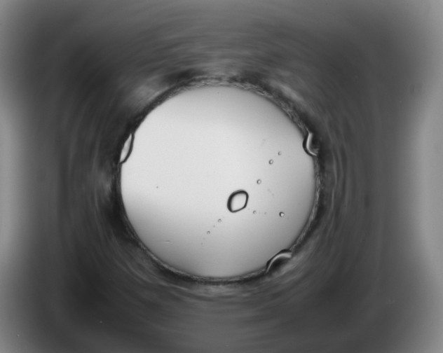 X0000086341257200704202054