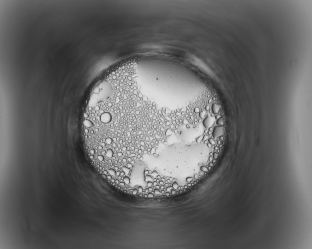 X0000086341259200704202054