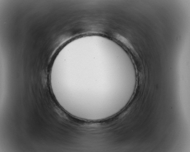 X0000086341260200704202054