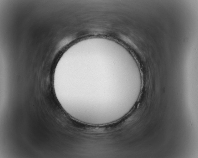 X0000086341261200704202054