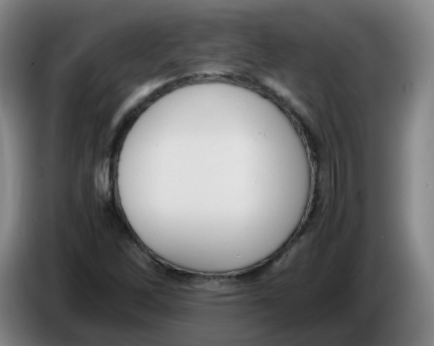X0000086341262200704202054