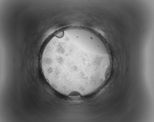 X0000086341263200704202054