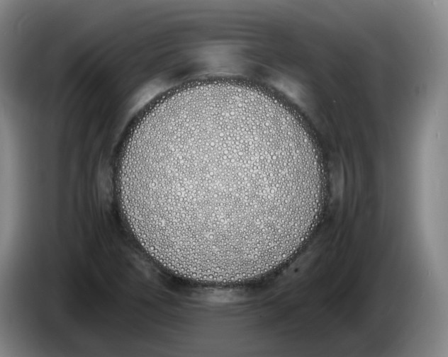 X0000086341266200704202054