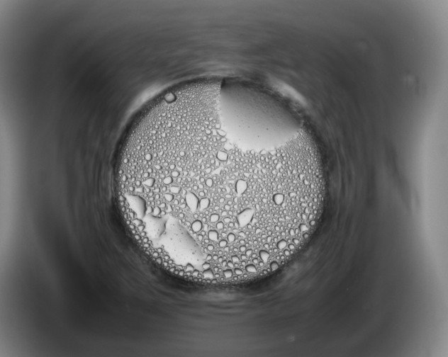 X0000086341267200704202054