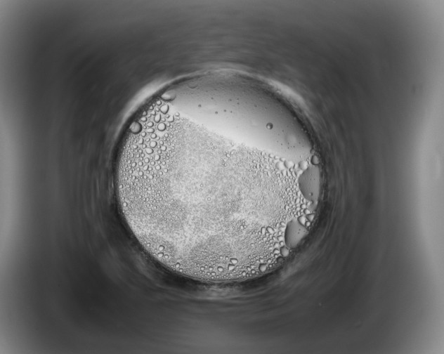 X0000086341271200704202054