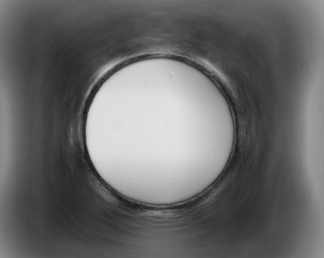 X0000086341272200704202054
