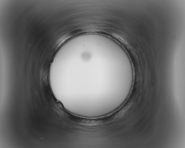 X0000086341273200704202054